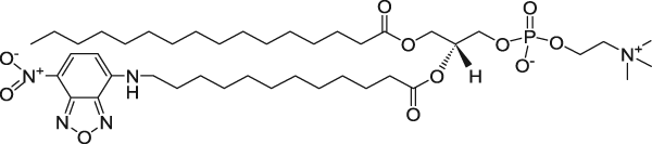 PG-based Fluoroliposome-NBD lipid (fatty acid tail), Lyophilized Powder