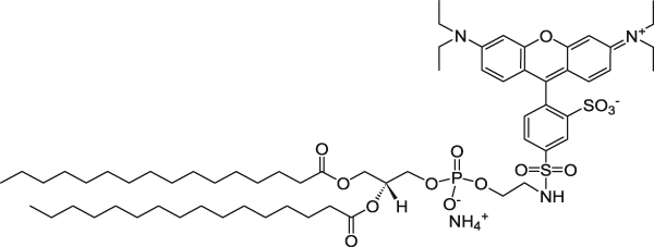 DOTAP-based Fluoroliposome-Rhodamine lipid-DBCO, Lyophilized Powder